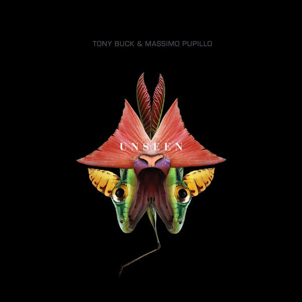 TONY BUCK & MASSIMO PUPILLO - Unseen (CD) | Mint (M)-