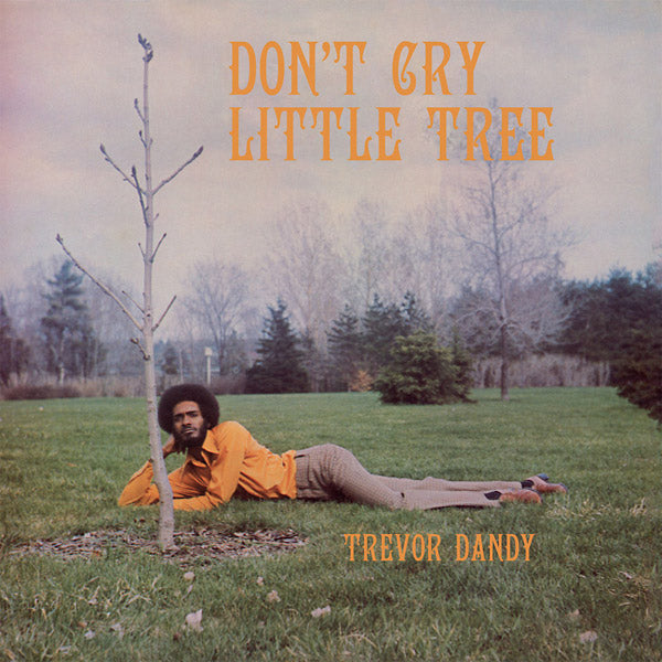 TREVOR DANDY - Don't Cry Little Tree (VINYL) | Mint (M) Mint (M)-