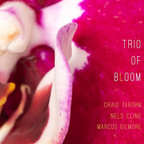 Trio Of Bloom |-