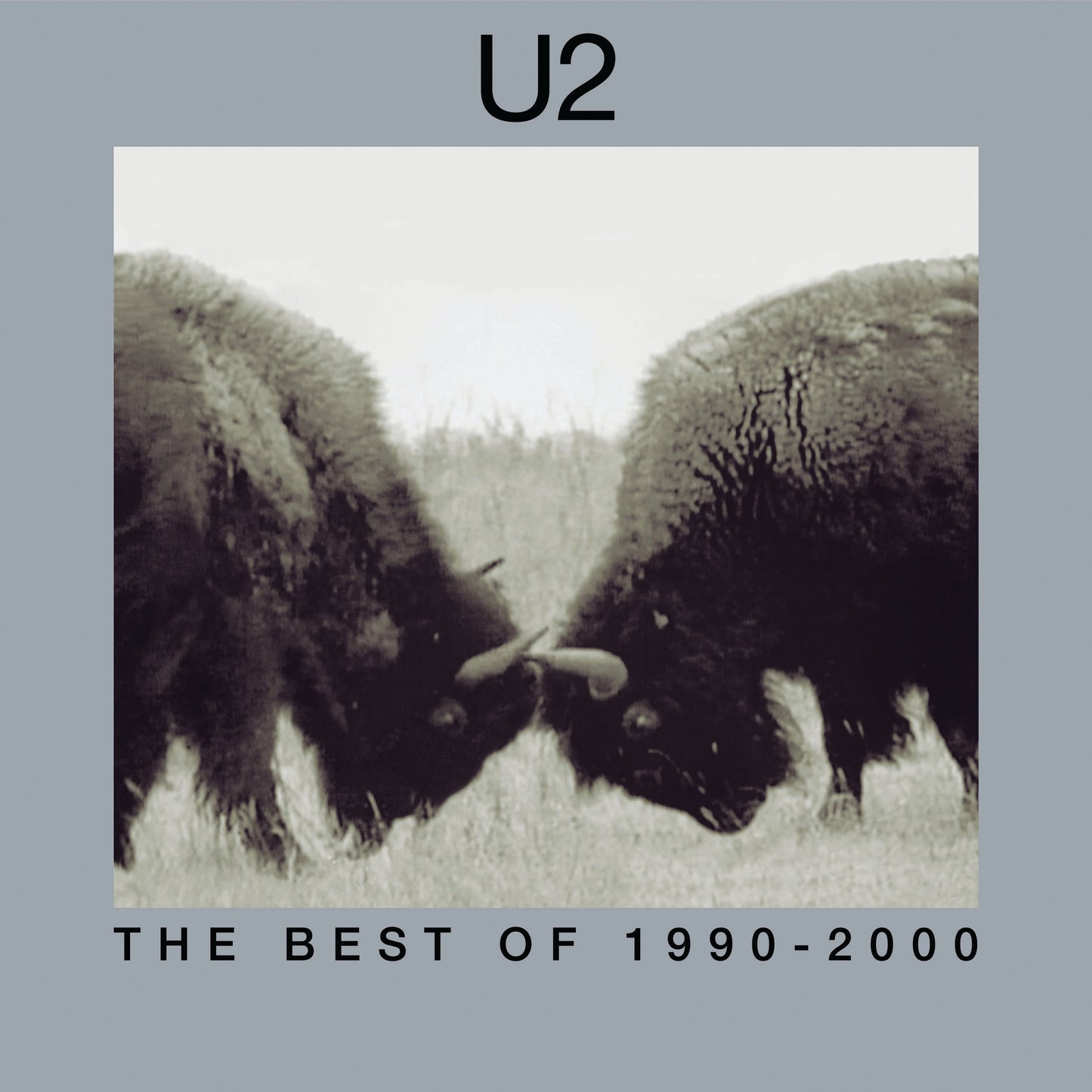 U2 - The Best Of 1990-2000 (180 Gram Vinyl) (2 Lp's) | Mint (M) Mint (M)-