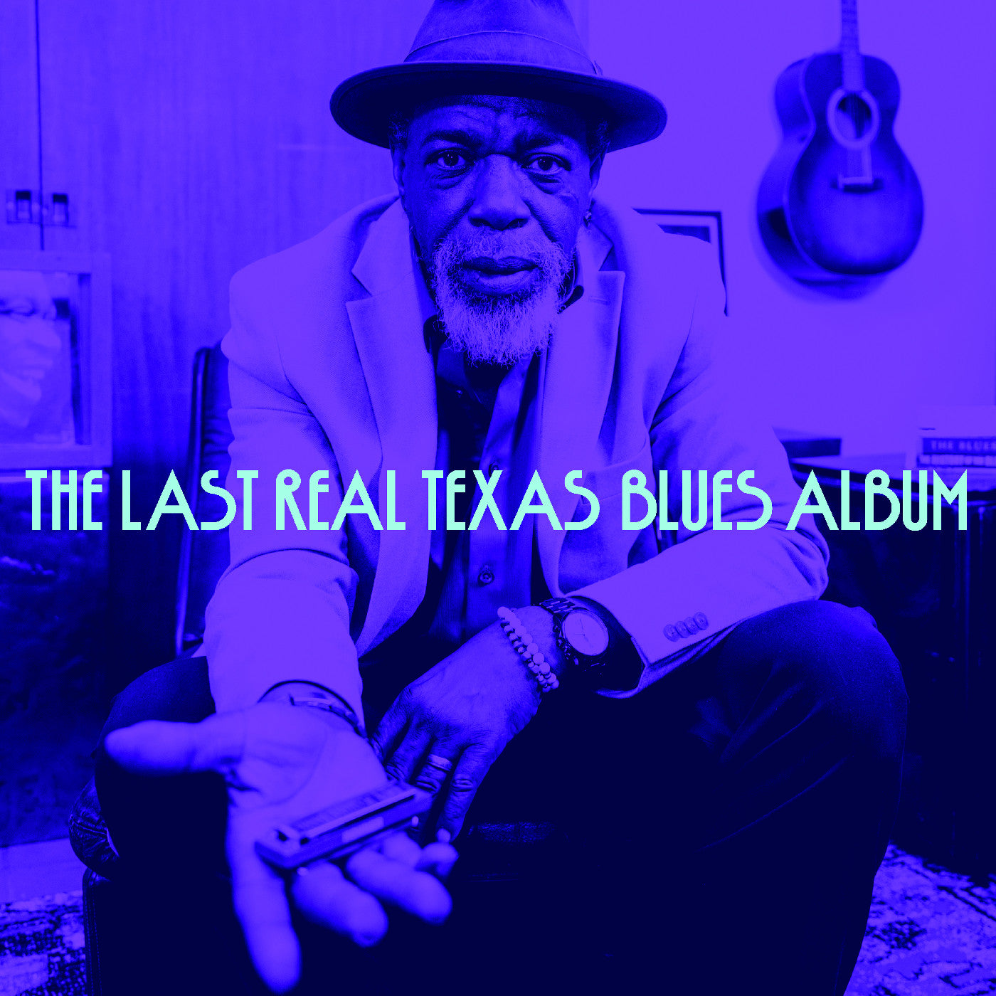 Various Artists - The Last Real Texas Blues Album (CD) | Mint (M) Mint (M)-