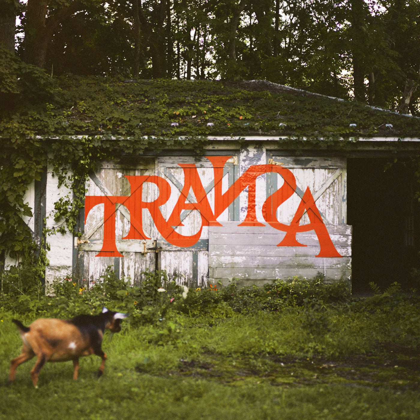 Various Artists - (PRE-ORDER 10/10/25) Transa (Deluxe Edition)(6xVINYL BOX SET) | Mint (M) Mint (M)-
