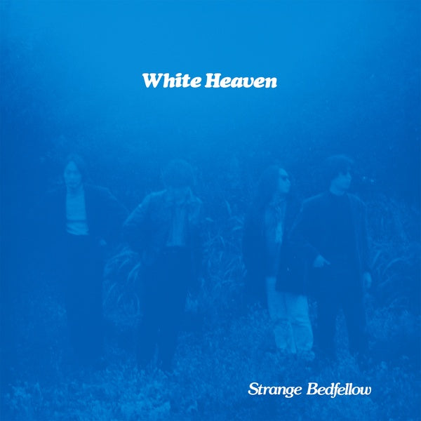 WHITE HEAVEN - Strange Bedfellow (VINYL) | Mint (M) Mint (M)-