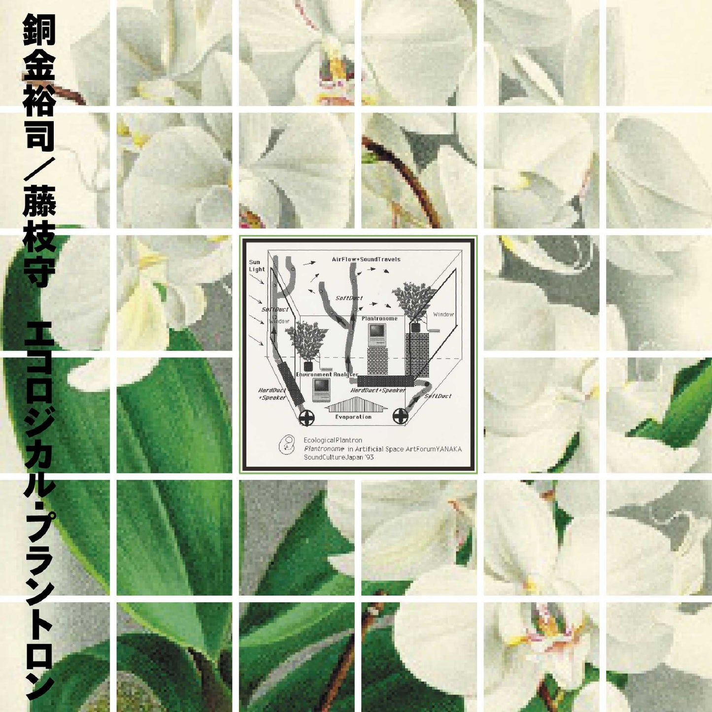 Yuji Dogane and Mamoru Fujieda - Ecological Plantron |-