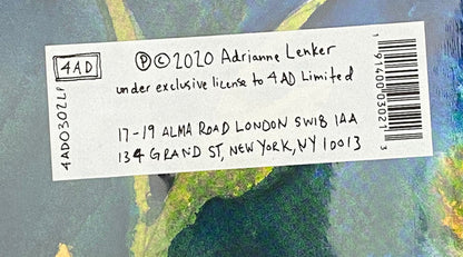 Adrianne Lenker - Songs And Instrumentals | Mint (M) Mint (M)-