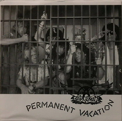 Aerosmith - Permanent Vacation | Mint (M) Mint (M)-