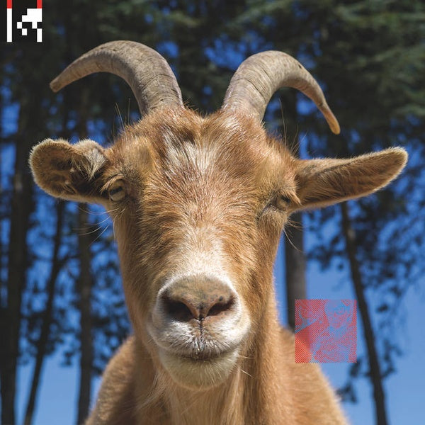 .dev (2xVINYL) |--