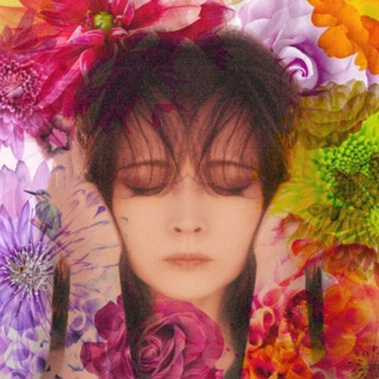 Akina Nakamori - Fixer (LTD VINYL 2xLP Universal Japan UPJY9352) | NEW-