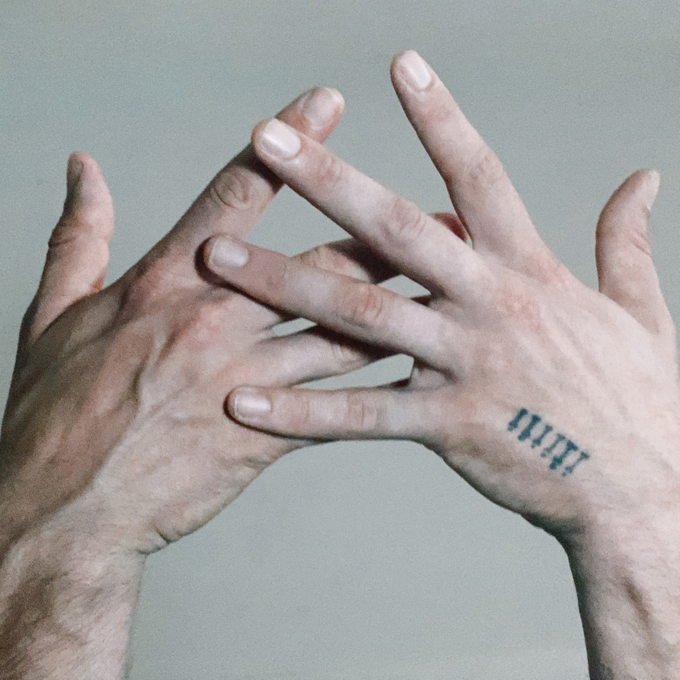 Alabaster DePlume - A Blade Because A Blade Is Whole (CD) | Mint (M) Mint (M)-