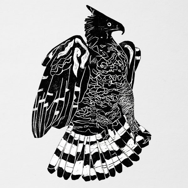 ALPHA STEPPA & NAI-JAH - Crowned Eagle [CD] |--