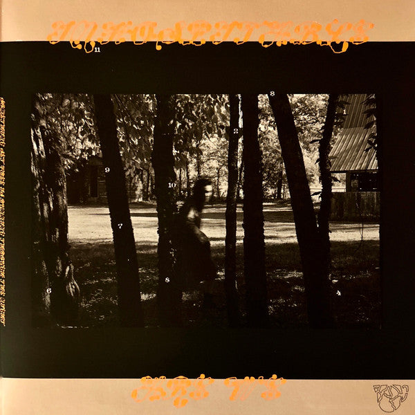 Mitski - The Land Is Inhospitable and So Are We ("ROBIN'S EGG" BLUE VINYL) | Mint (M) Mint (M)-