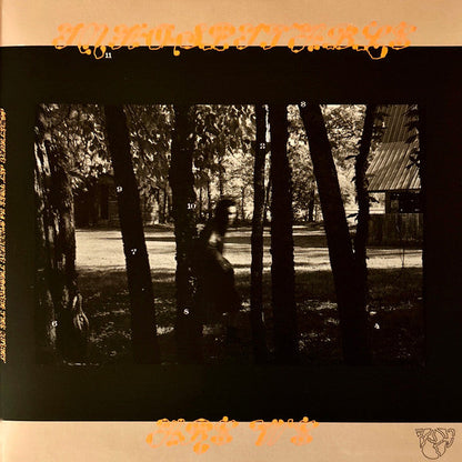 Mitski - The Land Is Inhospitable and So Are We ("ROBIN'S EGG" BLUE VINYL) | Mint (M) Mint (M)-