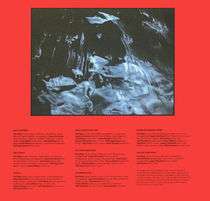 Mega Bog - End Of Everything | Mint (M) Mint (M)-