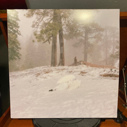 Wisp - Pandora (MILKY CLEAR VINYL) | Mint (M) Mint (M)-