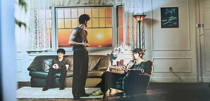 Wallows - Model (CLEAR VINYL) | Mint (M) Mint (M)-