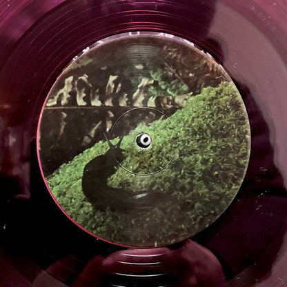 Yo La Tengo - Old Joy (PINK VINYL) | Mint (M) Mint (M)-