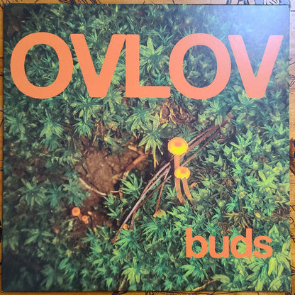 Buds (ORANGE VINYL) | Mint (M) Mint (M)-