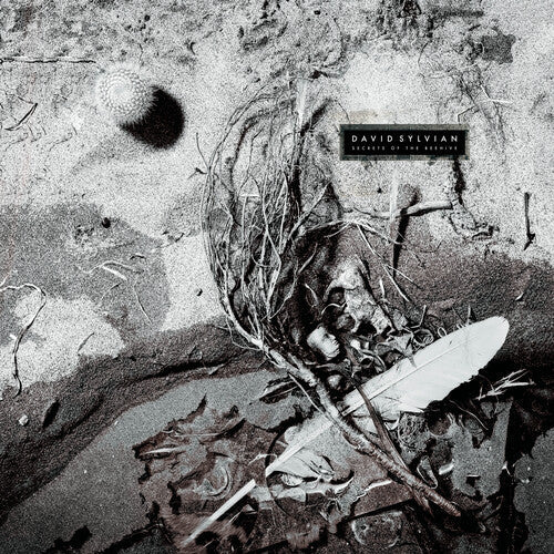 David Sylvian - (PRE-ORDER 10/3/25) Secrets of the Beehive (YELLOW OPAQUE/BLACKVINYL) | Mint (M) Mint (M)-