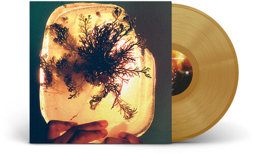 L'Rain - (PRESALE 8/14/26) Fata Morgana (IEX COLORED VINYL LP MEXICAN SUMMER 2026) | NEW-