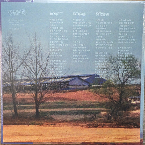 Mid-Air Thief 공중도둑 - Crumbling (VINYL) |-