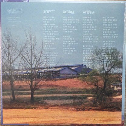 Mid-Air Thief 공중도둑 - Crumbling (VINYL) |-