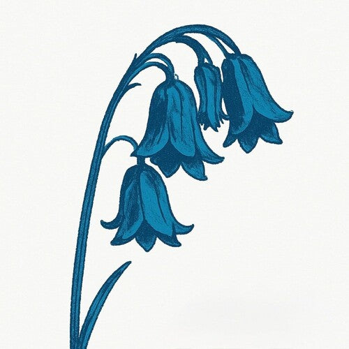 The Bluebells - This Is The Bluebells (GLADE GREEN 2xVINYL) | Mint (M) Mint (M)-
