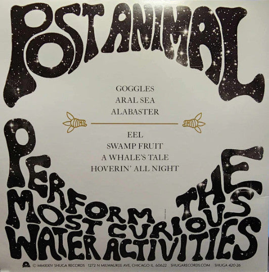 Post Animal - Post Animal Perform The Most Curious Water Activities (OCEAN BLUE VINYL) | Mint (M) Mint (M)-