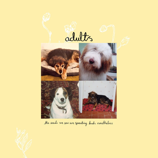 Adults (5) - (PRE-ORDER 12/12/25) The Seeds We Sow Are Sprouting Buds Nonetheless (INDIE EXCLUSIVE, GREEN VINYL) |-