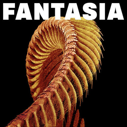 Slift - Fantasia (YELLOW 2xVINYL) | Mint (M) Mint (M)-