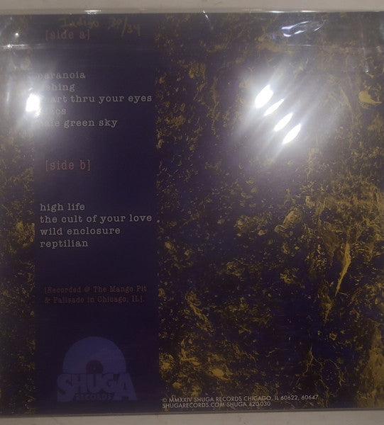 Spun Out - Dream Noise (INDIGO) | Mint (M) Mint (M)-