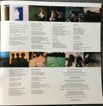 The Last Shadow Puppets - The Age Of The Understatement | Mint (M) Mint (M)-