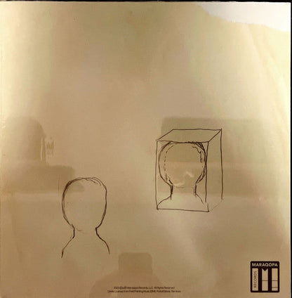 Damien Jurado - Sometimes You Hurt The Ones You Hate. (VINYL) | Mint (M) Mint (M)-