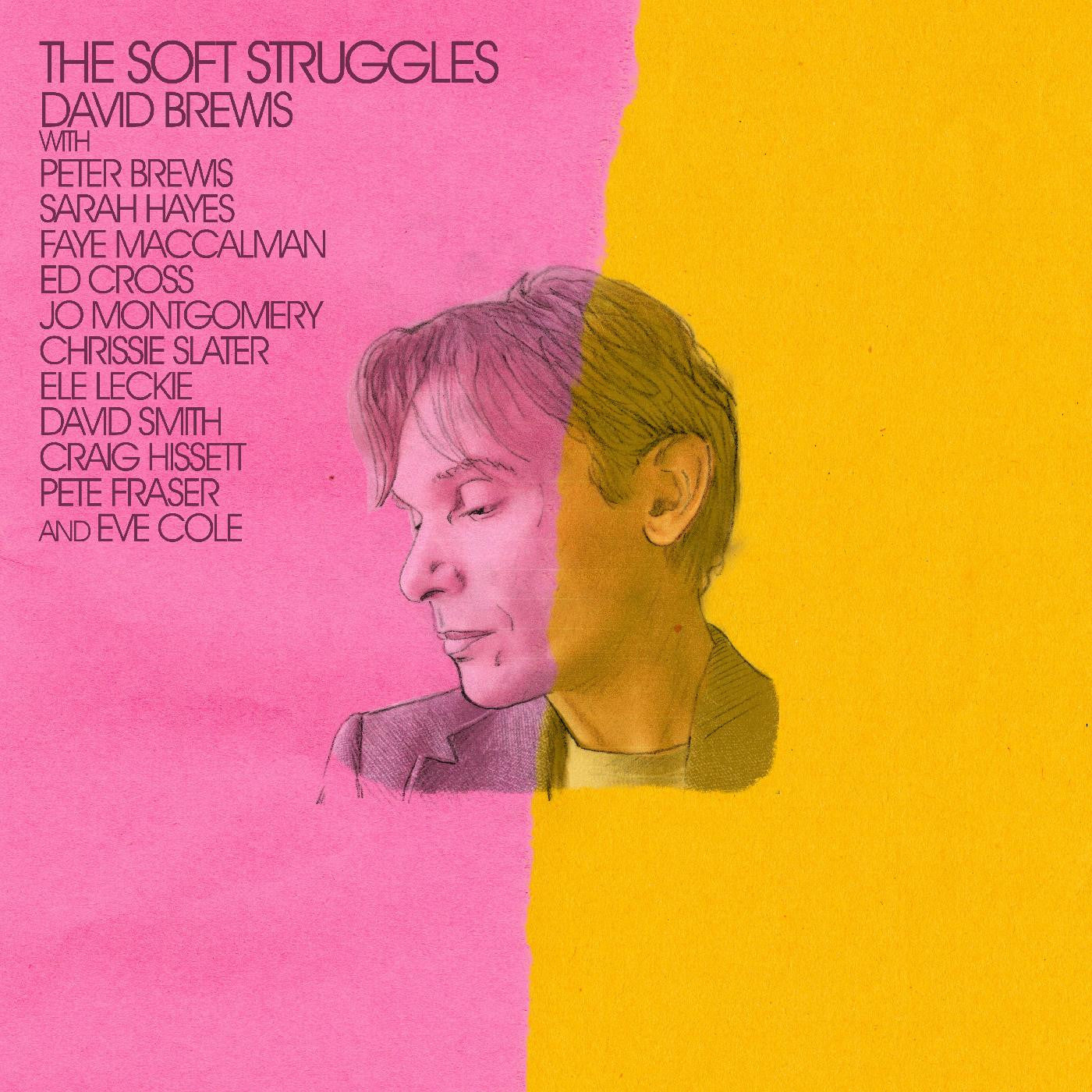 Brewis, David - The Soft Struggles |-