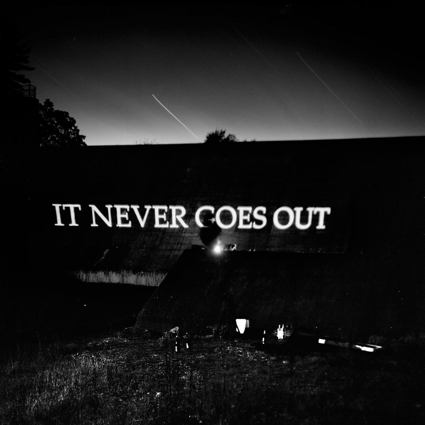 Hotelier, The - It Never Goes Out |-