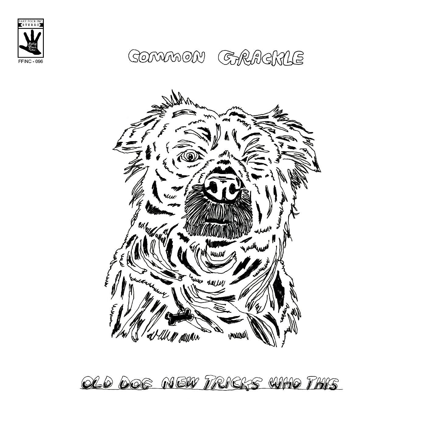 Common Grackle - Old Dog New Tricks Who This |-