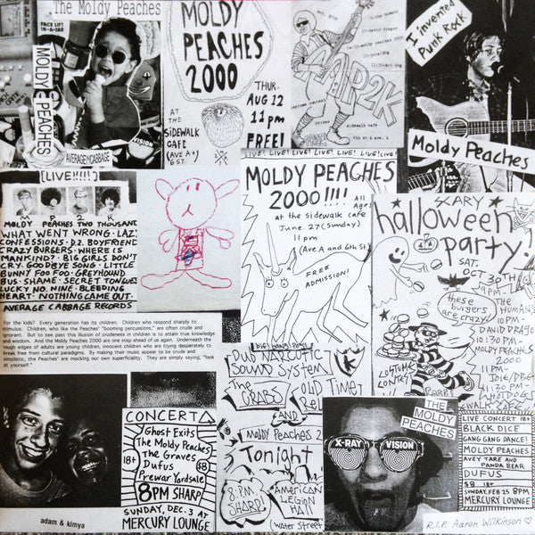 The Moldy Peaches (2xVINYL) | Mint (M) Mint (M)-