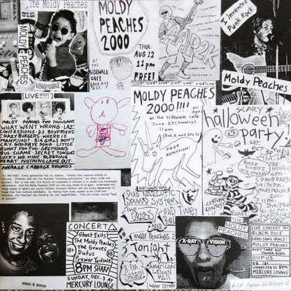 The Moldy Peaches (2xVINYL) | Mint (M) Mint (M)-