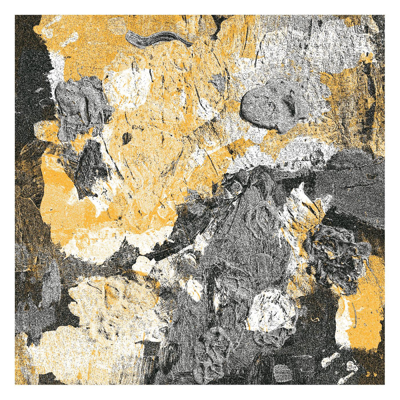 bdrmm - Standard Tuning (Vinyl) |-