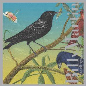Martin, Billy - Starlings (CD) |-