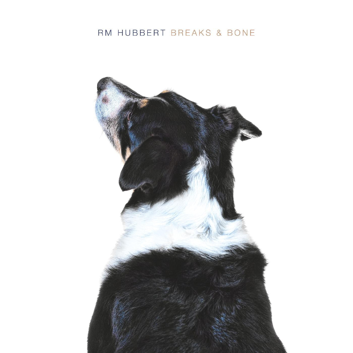 Hubbert, RM - Breaks & Bone |-