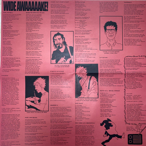 Parquet Courts - Wide Awake! (VINYL) | Mint (M) Mint (M)-