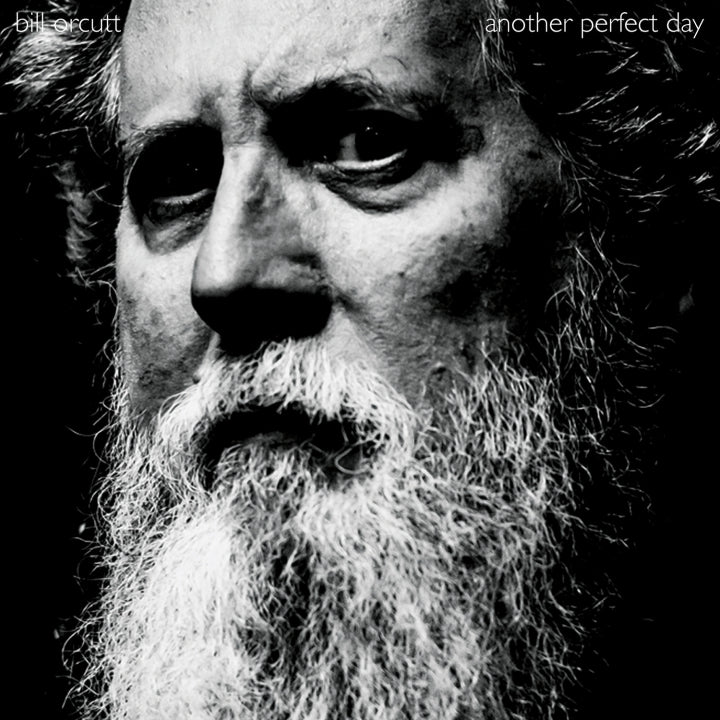 BILL ORCUTT - Another Perfect Day (VINYL) | Mint (M) Mint (M)-