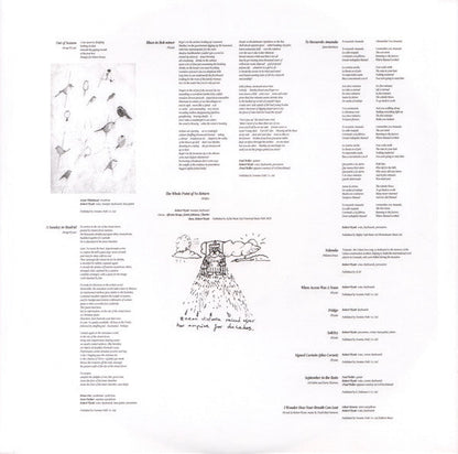 Robert Wyatt - Shleep | Mint (M) Mint (M)-