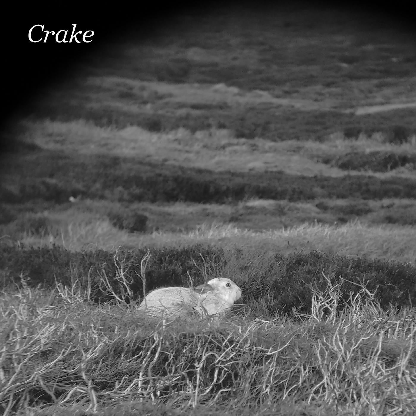 Crake - Enough Salt (For All Dogs) b/w Gef |-