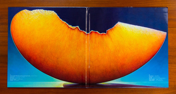 Vinyl Moon Volume 038: Sticky Fruit *SLEEVE ONLY* | Near Mint (NM)-