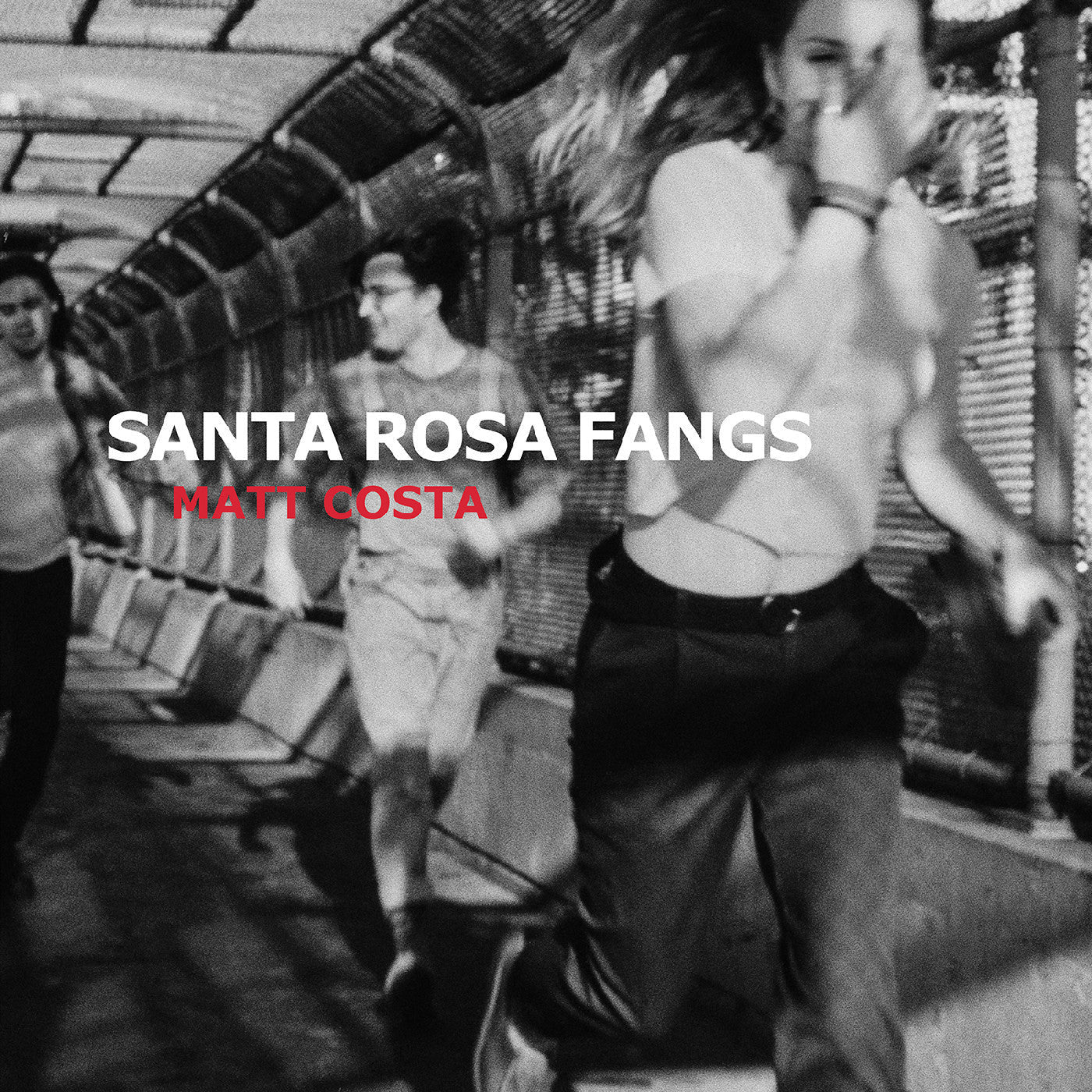 Costa, Matt - Santa Rosa Fangs |-