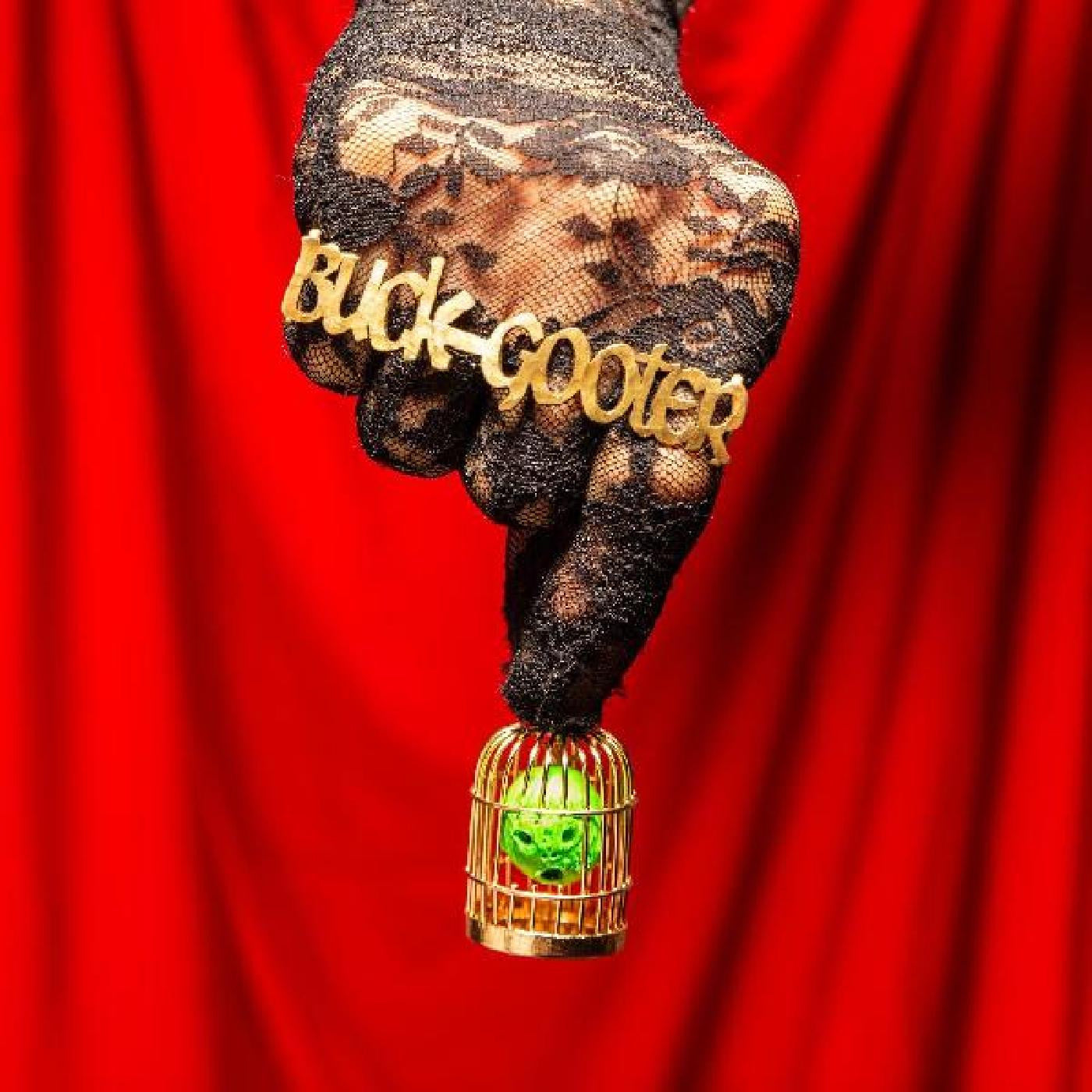 Buck Gooter - Head In A Bird Cage (INDIE EXCLUSIVE, ORANGE SUN VINYL) (Vinyl) | Mint (M) Mint (M)-
