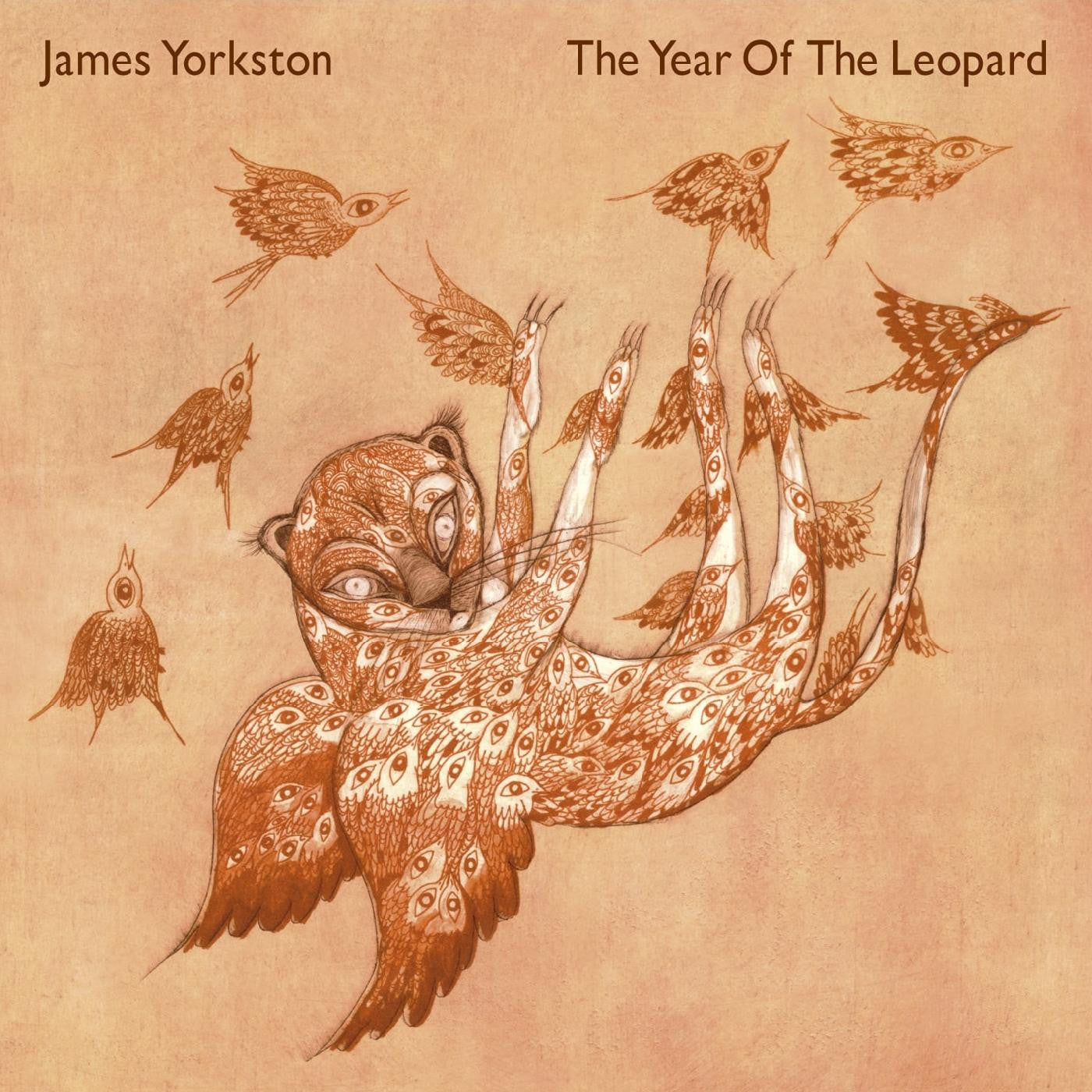 Yorkston, James - The Year Of The Leopard |-