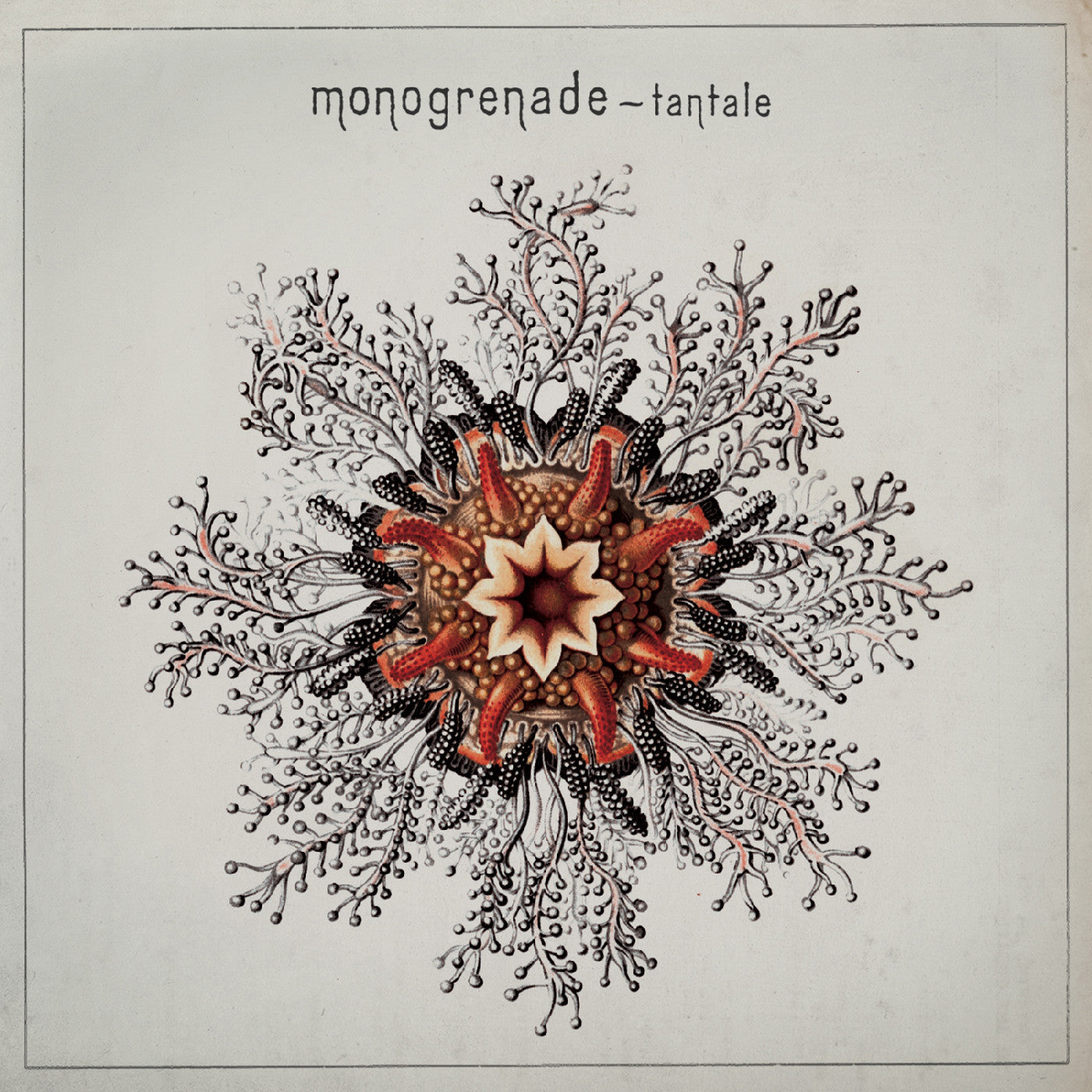 Monogrenade - Tantale (CD) |-
