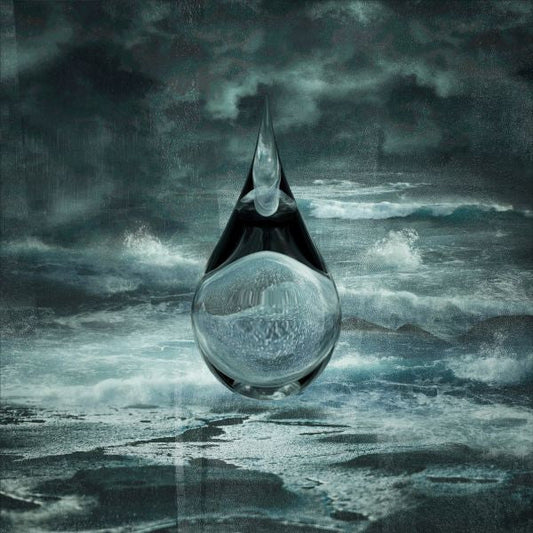 Birds Of Passage - The Death Of Our Invention (CD) | Mint (M) Mint (M)-